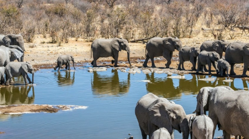 7 Days Sossusvlei, Swakopmund and Etosha National Park 3
