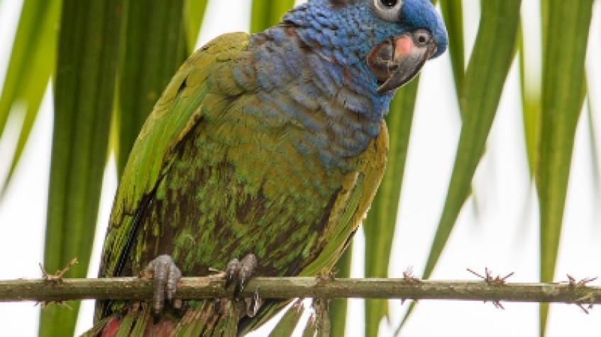 4 Days Amazon Sustainable Lodge 1
