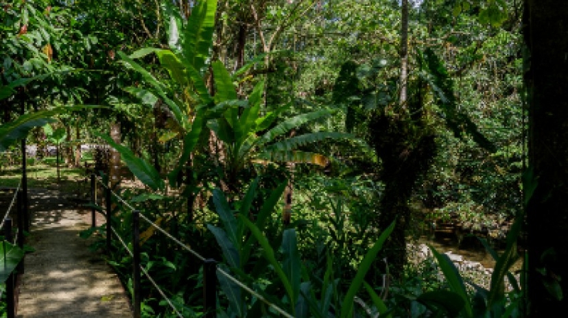 4 Days Amazon Sustainable Lodge 2