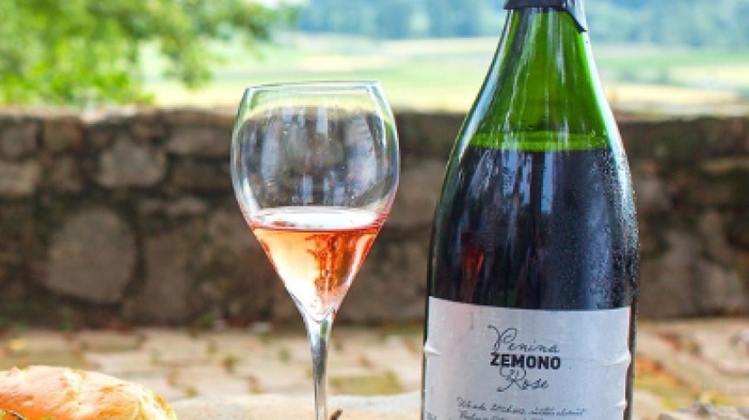 Goriška Brda Slovenia Wine Region Tour Vineyard and Scenic Experience 3