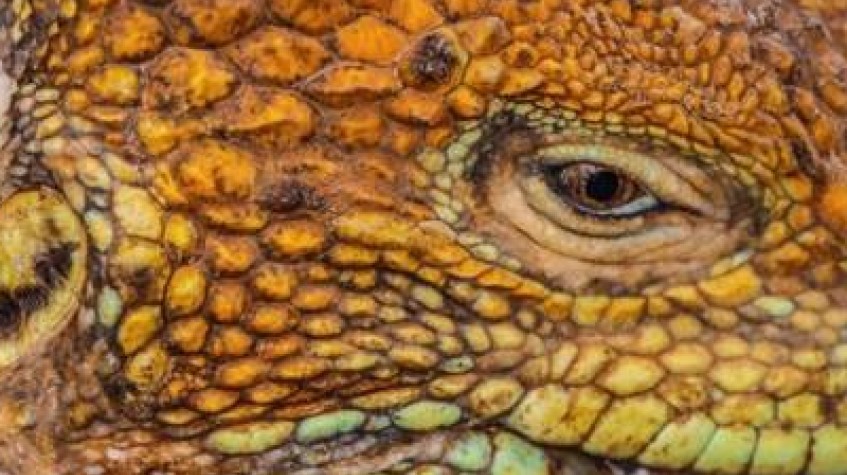 Galapagos Express 6 Days Tour 1
