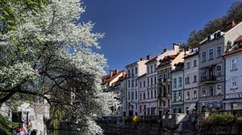 The Essence of Slovenia 2