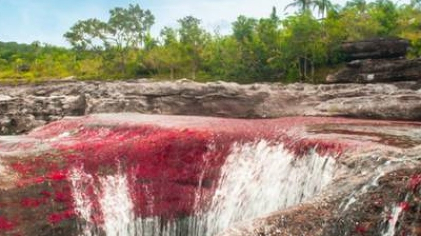 Caño Cristales 3 Days Tour from Bogota 3