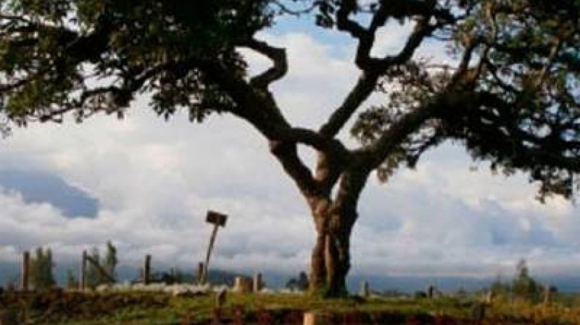 Ecuador Adventure 14 Days Tour 3