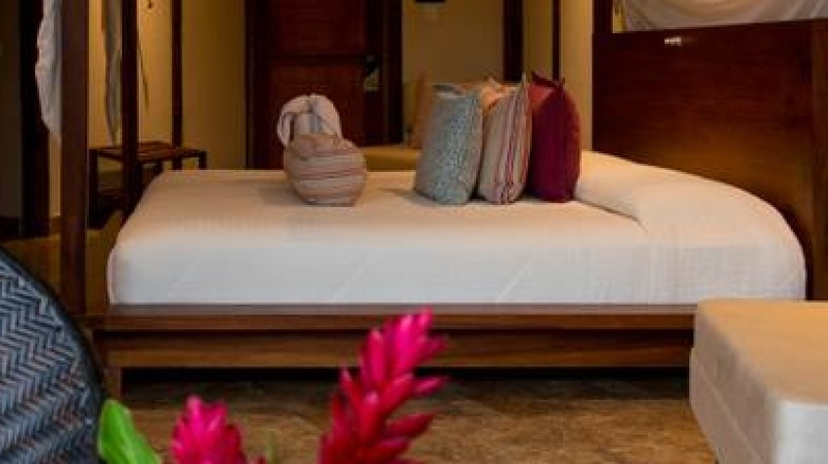 La Selva Amazon Lodge 4 Days Tour 3