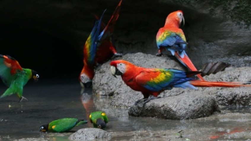 5 Days Cultural Yasuni Jungle Tour 1