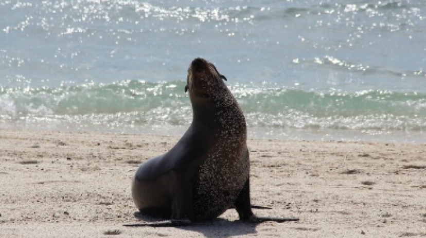 7 Days Galapagos Express Adventure 2