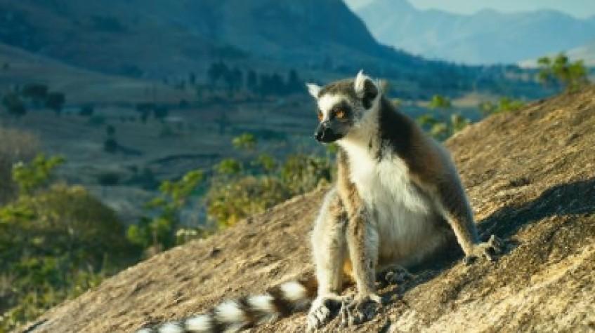 Madagascar Discovery 10Days/09Nights Madagascar Discovery 10Days/09Nights