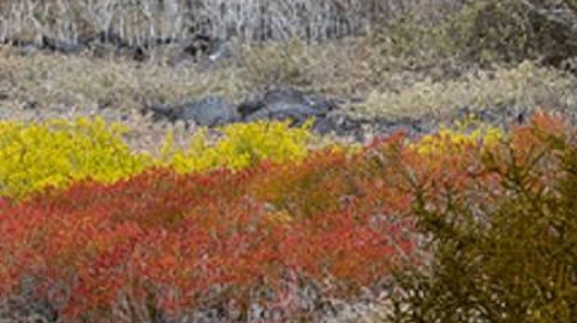 Galapagos Express Tour 6 Days 4