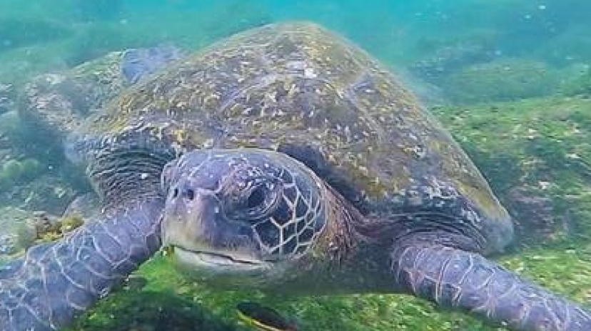 Galapagos Big Five 9 Days Tour 2