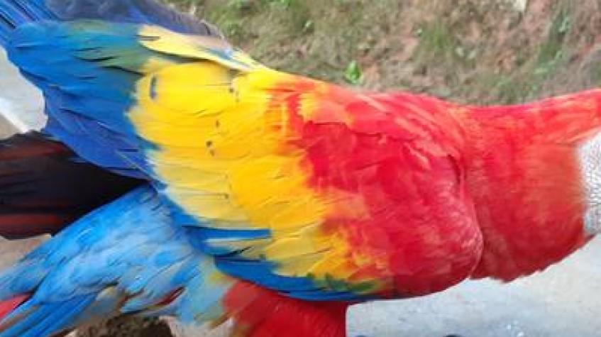 Colombia & Galapagos Express 13 Days Tour Colombia & Galapagos Express 13 Days Tour