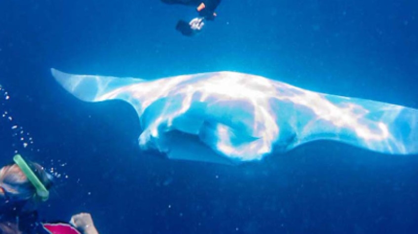 Belize: See & Experience It All in 10 Days, 1St Class Custom Tours 1