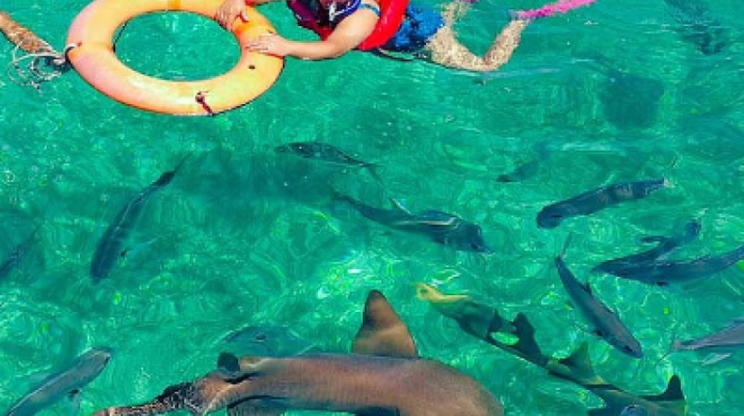 Belize: See & Experience It All in 10 Days, 1St Class Custom Tours 3