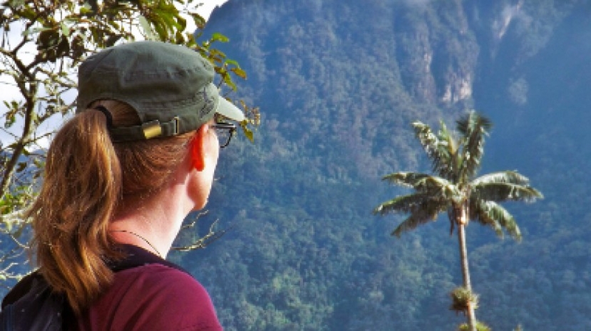 Colombia: See & Experience Almost It All in 11 Days, 1St Class Custom Tours 4