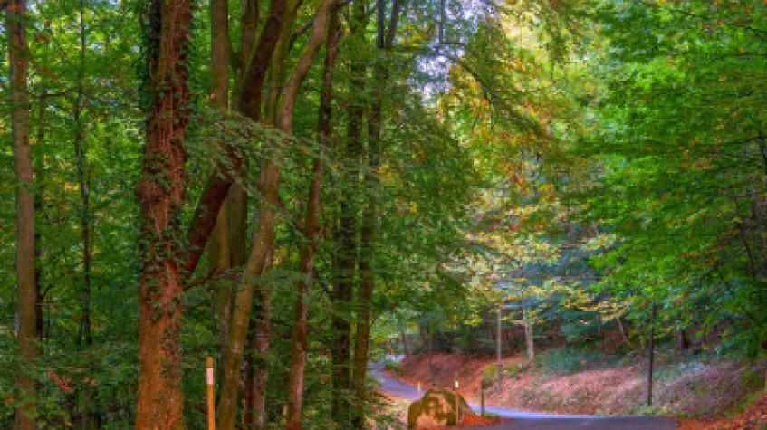 Full Day Outdoor Nature Tour / Rumeli Fortress, Belgrad Forest & More Full Day Outdoor Nature Tour / Rumeli Fortress, Belgrad Forest & More