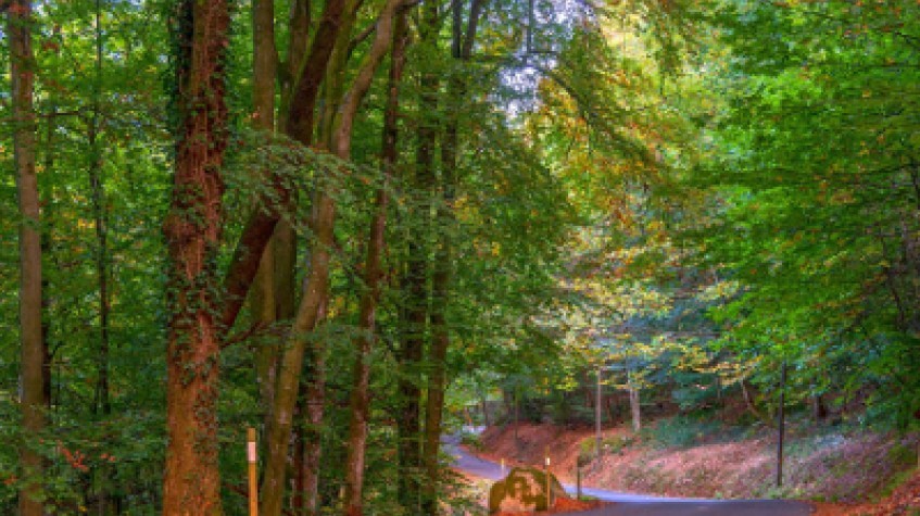 Full Day Outdoor Nature Tour / Rumeli Fortress, Belgrad Forest & More 1