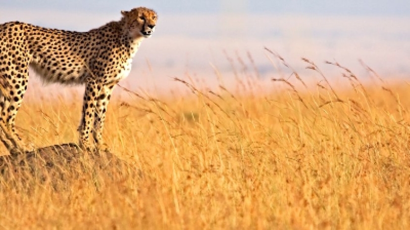 3 Days Mesmerising Mara 2