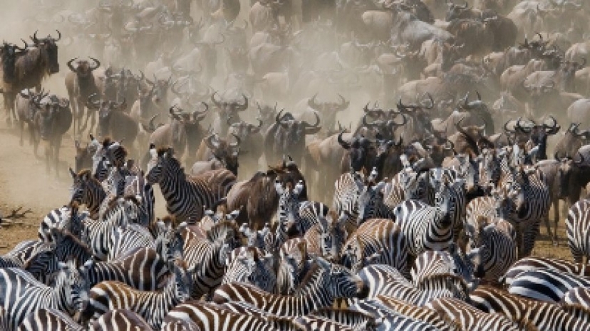 3 Days Mesmerising Mara 3