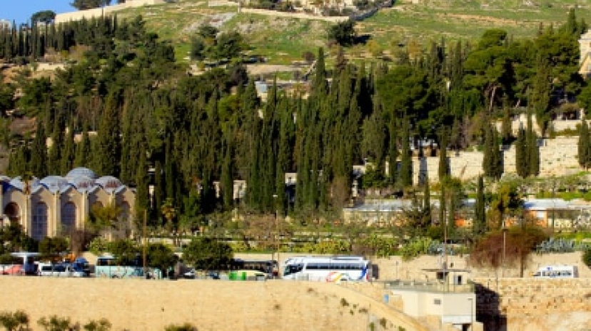 Jerusalem and Bethlehem Day Tour from Ashdod Port 3