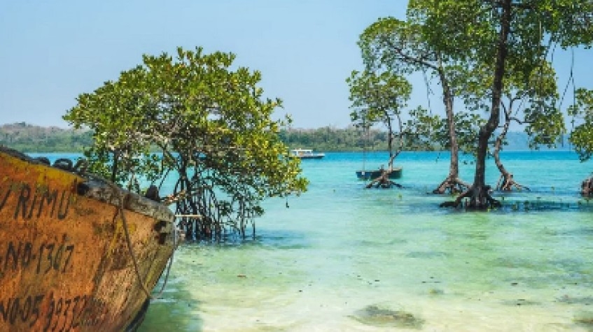 5 Days Andaman Suntanner Beach Holidays 1