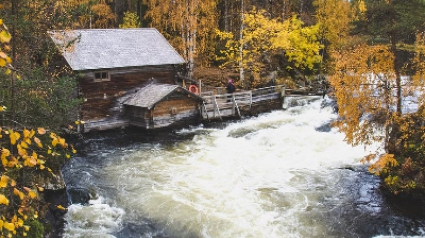 2 Days Bear Safari in Kuusamo & Oulanka Rapids 4