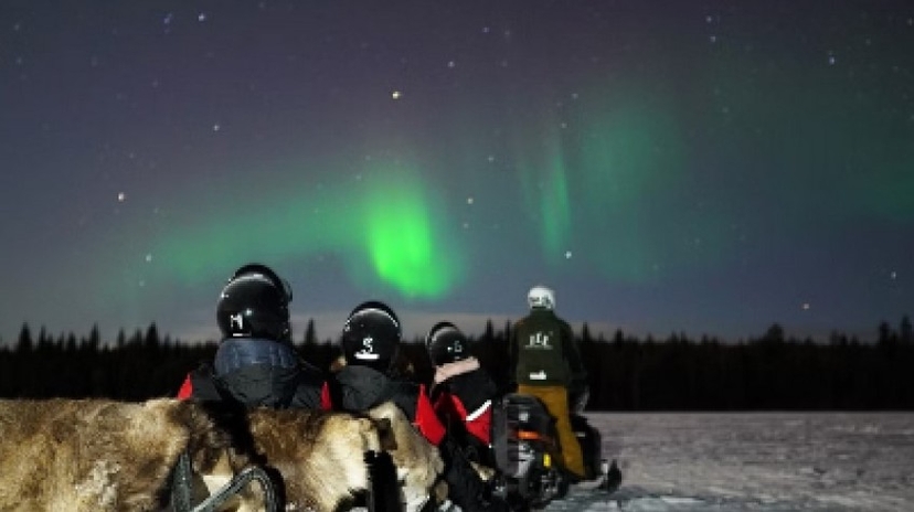 Sleigh Ride and Northern Lights Hunting 4