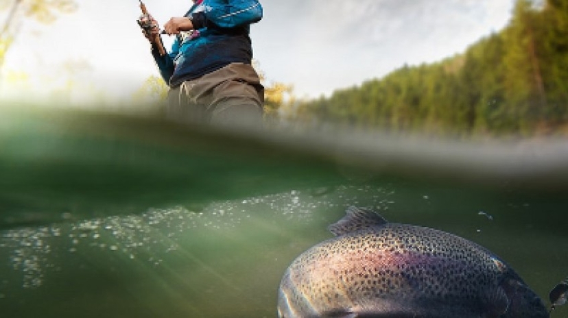 Seaside Fishing With Salmon Bbq in Helsinki 4