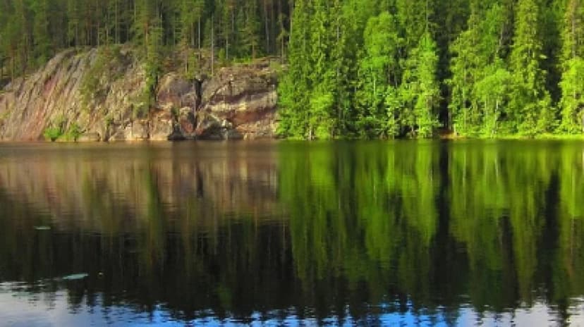 Mustasaari Island Day Trip: a Scenic Escape from Helsinki 2