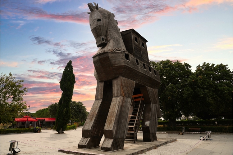 Daily Ancient City of Troy Tour from Istanbul