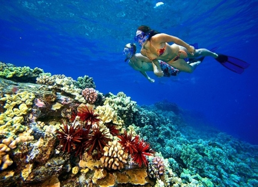 Egypt: 6 Days Sharm El Sheikh Dream Vacation Package 4