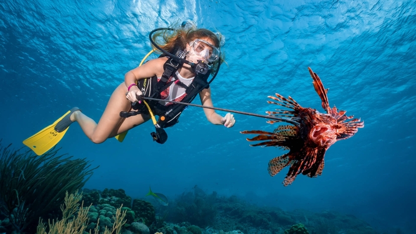 8-Hours Hurghada Paradise Island Snorkeling Trip by Boat 4