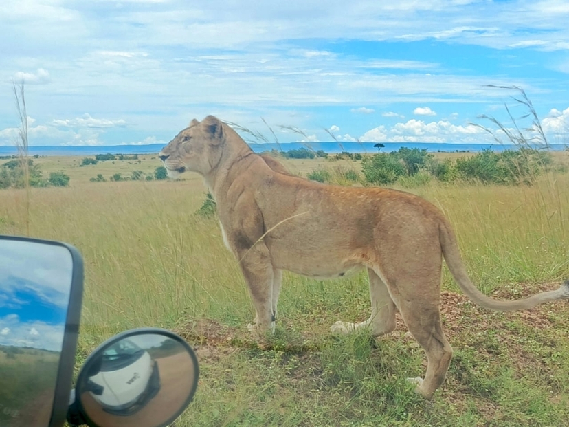 7 Days Luxury Kenya Safari - Private tour 3