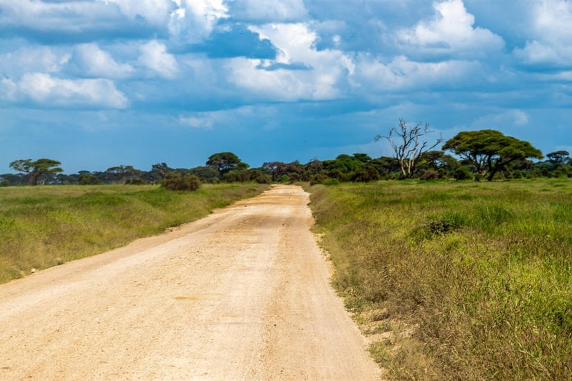 Amboseli National park- Day trip: Mt. Kilimanjaro views 3