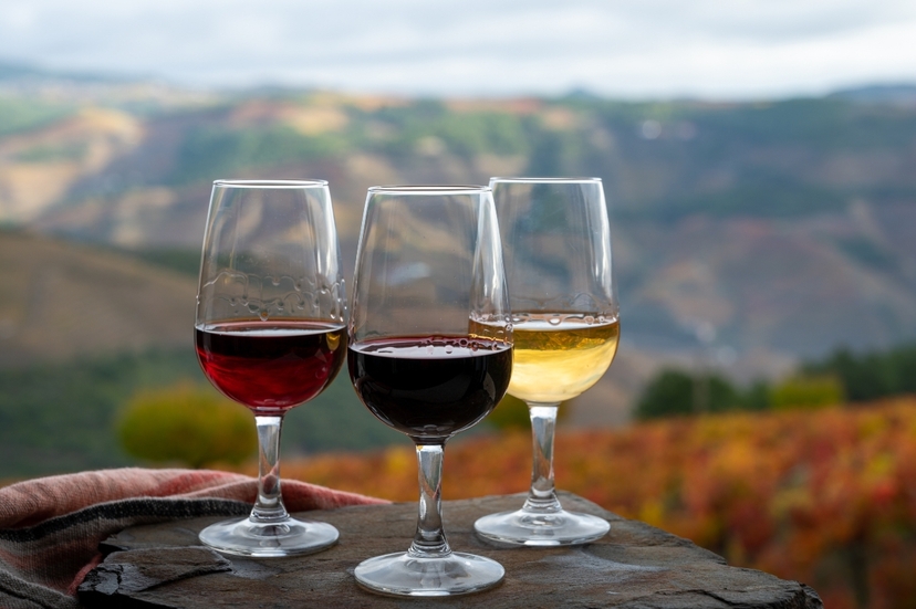 Palace of Knossos (Skip-the-line) with Wine Tasting and Lunch 4