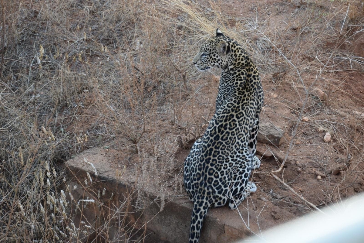 Iconic 3-Day Lakes Safari: Nakuru, Naivasha & Bogoria 1