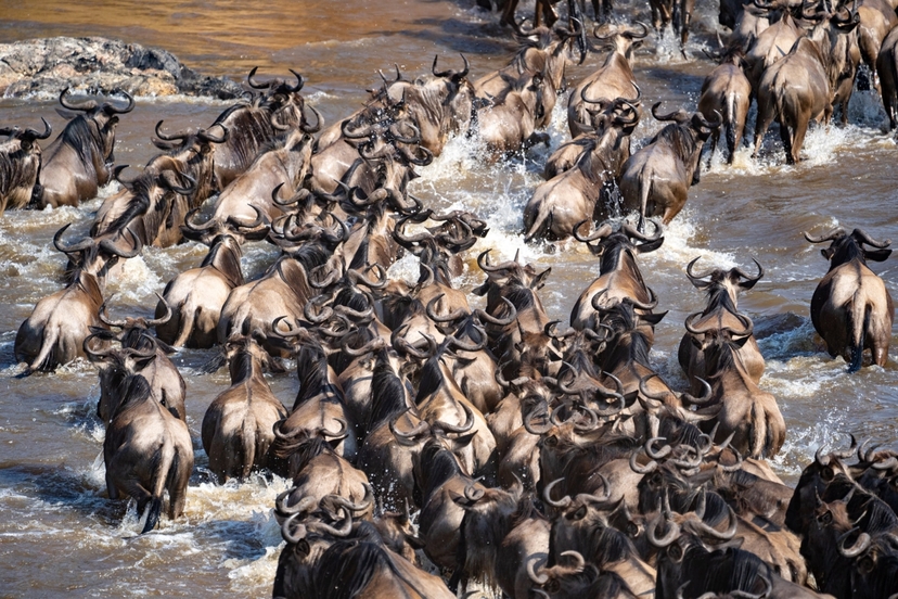 8 Days Experience Kenya Famous Parks Safari on 4x4 Landcruiser Jeep 2