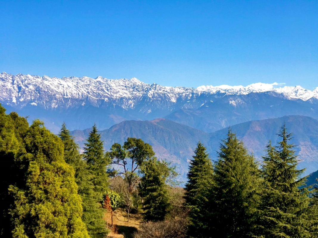 Shivapuri National Park Hike
