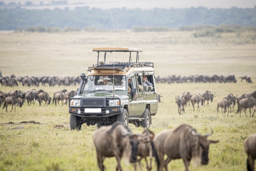 8 Day Discover Kenya Safari Nairobi National Park, Amboseli, Great Rift Valley Lakes And Maasai Mara 4