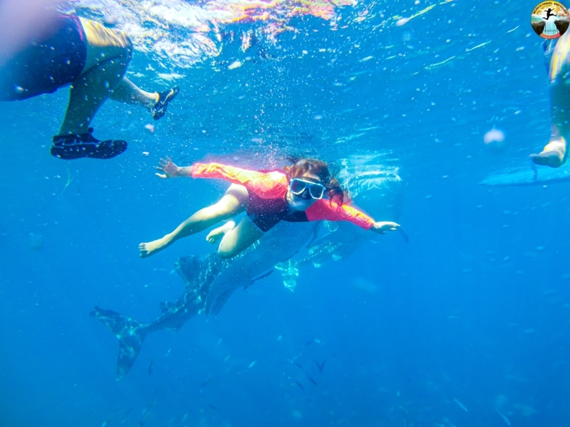 Cebu: Swim with Whale Sharks and Kawasan Canyoneering 3