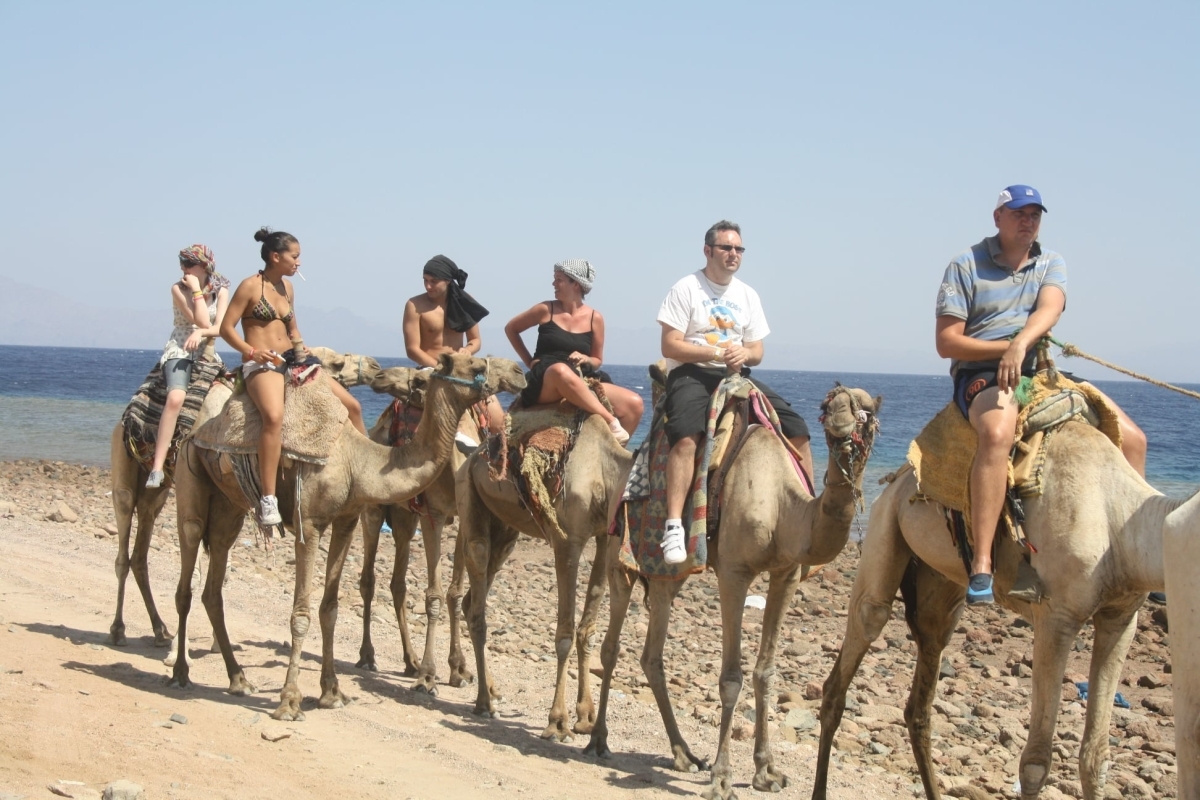 Old Virgin – Discover Sinai With Jeep Safari 1