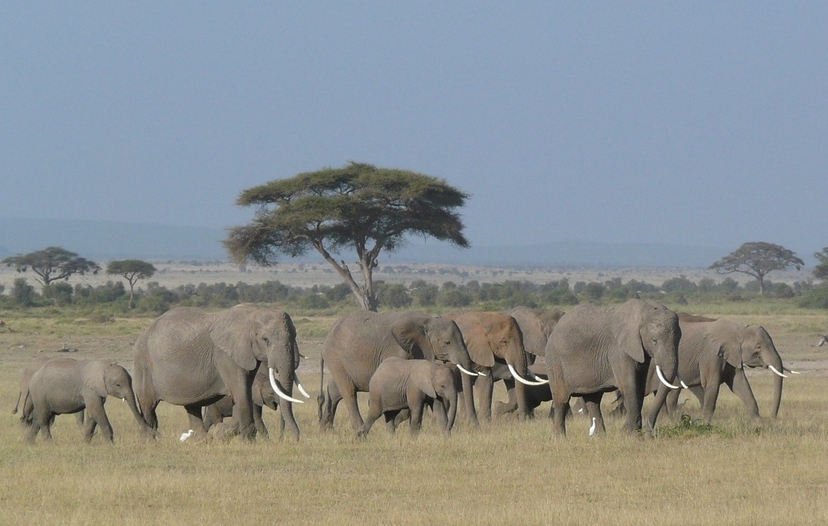 Day Trip to Ngorongoro Crater 2