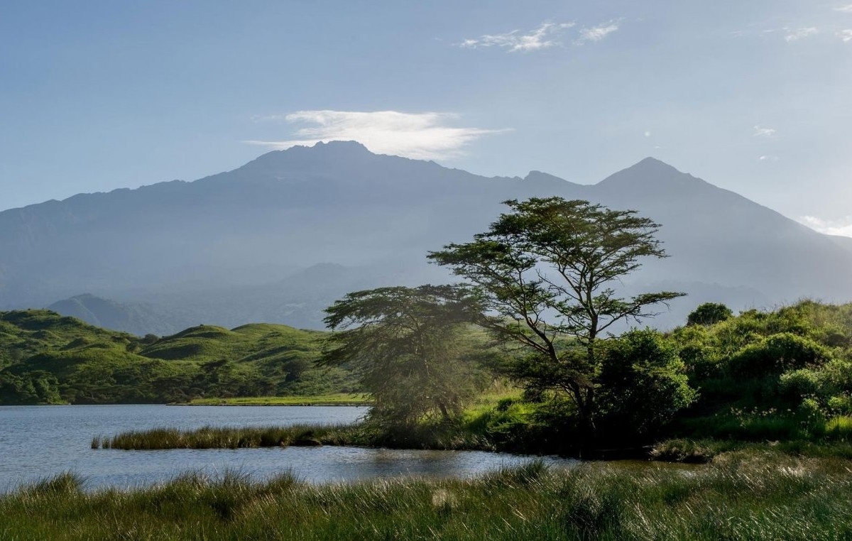 Day Tour Safari To Arusha National Park 1