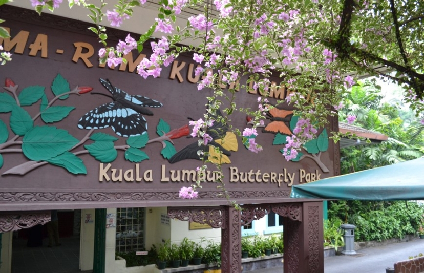 Kuala Lumpur City Tour 6 Hours 2