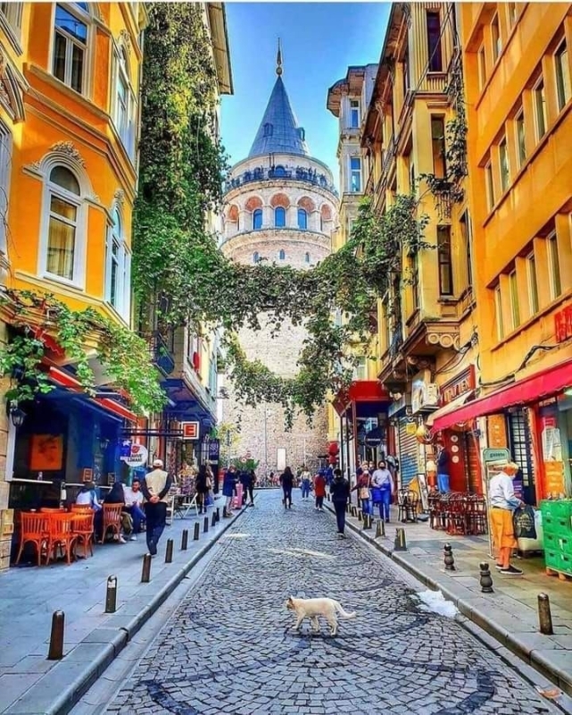 Synagogue with Mosque and Church Walking Tour in Istanbul 1