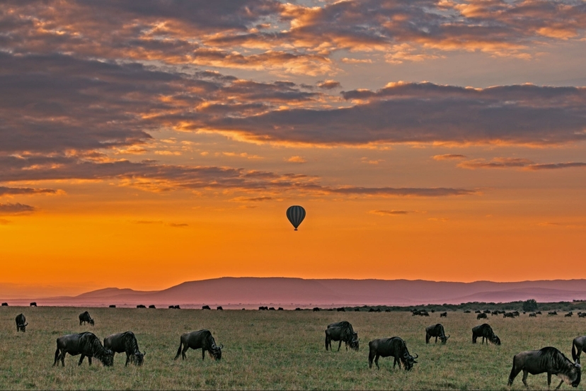 7 Days Masai Mara, L. Nakuru, L. Naivasha & Amboseli National Park. 4