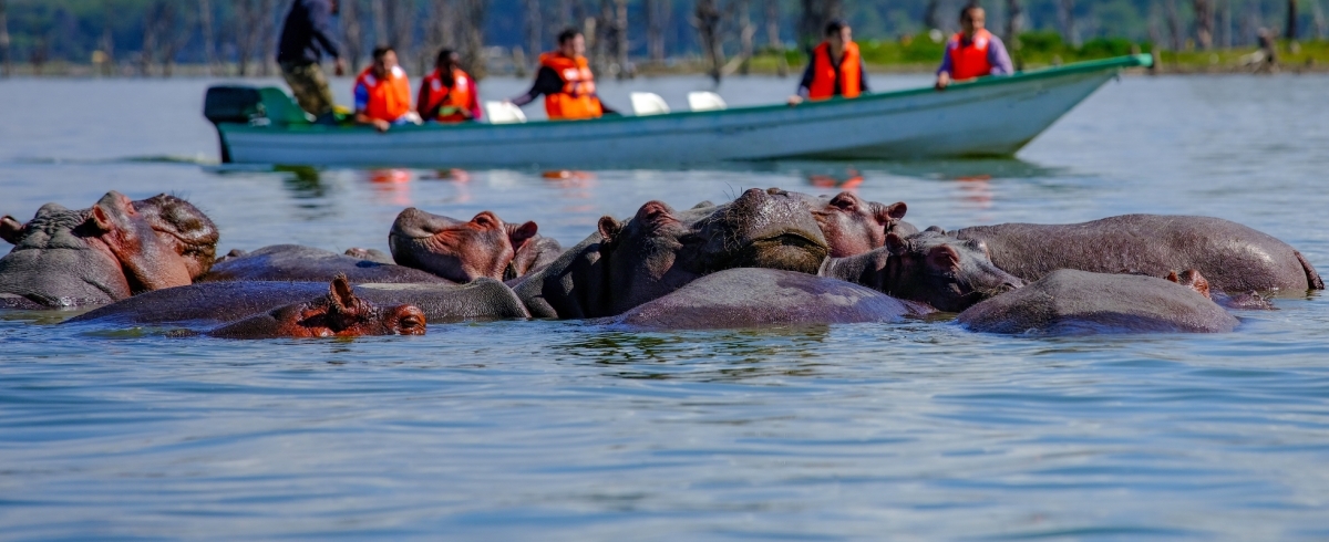 2 DAYS LAKE NAIVASHA WILDLIFE SAFARI IN KENYA.