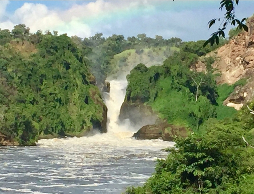 7 Days Uganda Gorilla Trek and Wildlife Safari 3