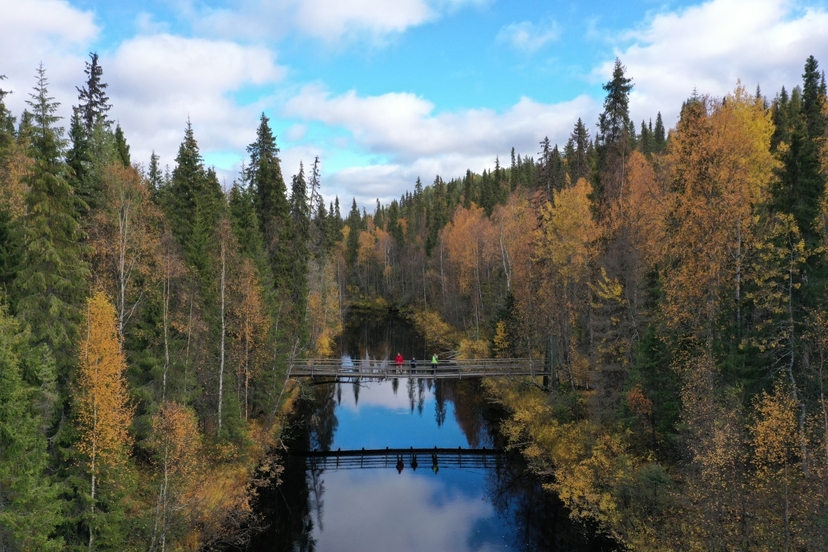 Auttiköngäs Nature Trail 3