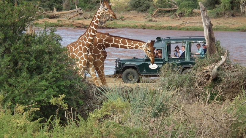 Wild & Scenic Kenya – A 7-Day Signature Safari 3