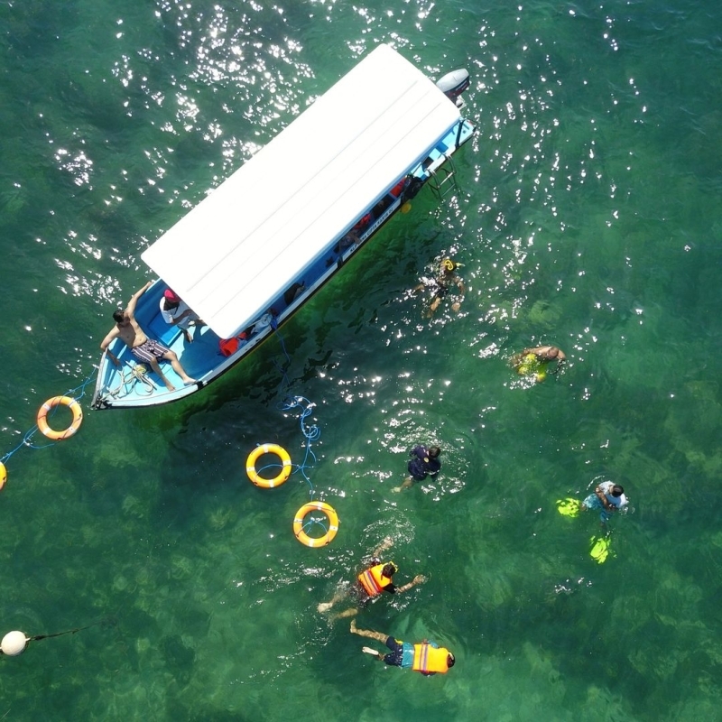 Bali Snorkeling and Mangrove Cruise by Glass Bottom Boat 3